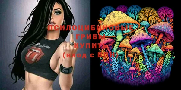 таблы Богородицк