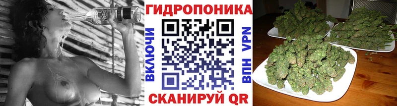 Купить где  Циолковский  Шишки марихуана Bruce Banner 